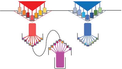 The Origin of Niches and Species in the Bacterial World